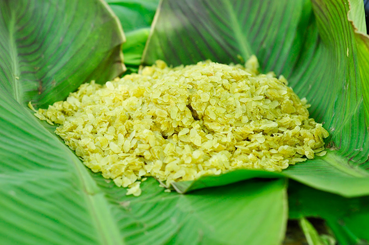 Green Rice Ha Hoi