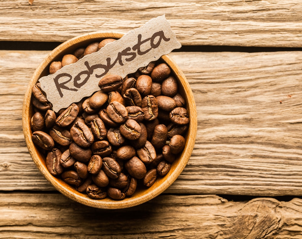 Robusta bean