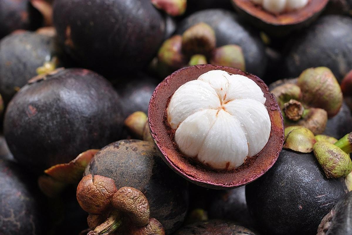 Mangosteen 1