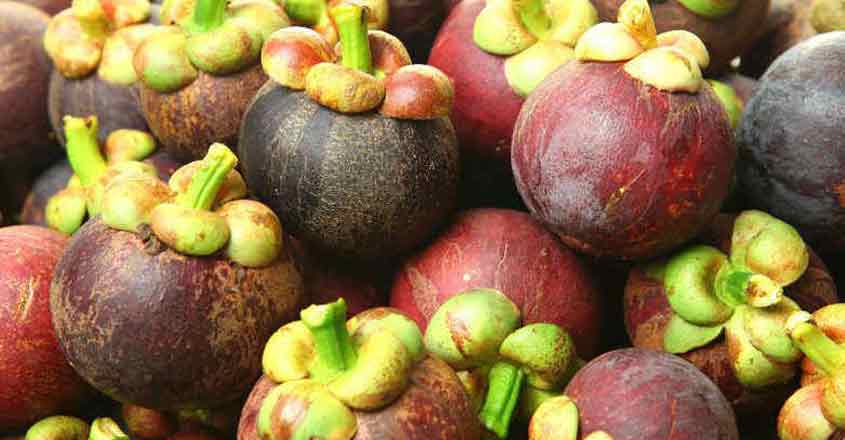 Mangosteen 2