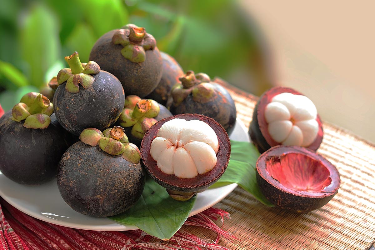 Mangosteen 3