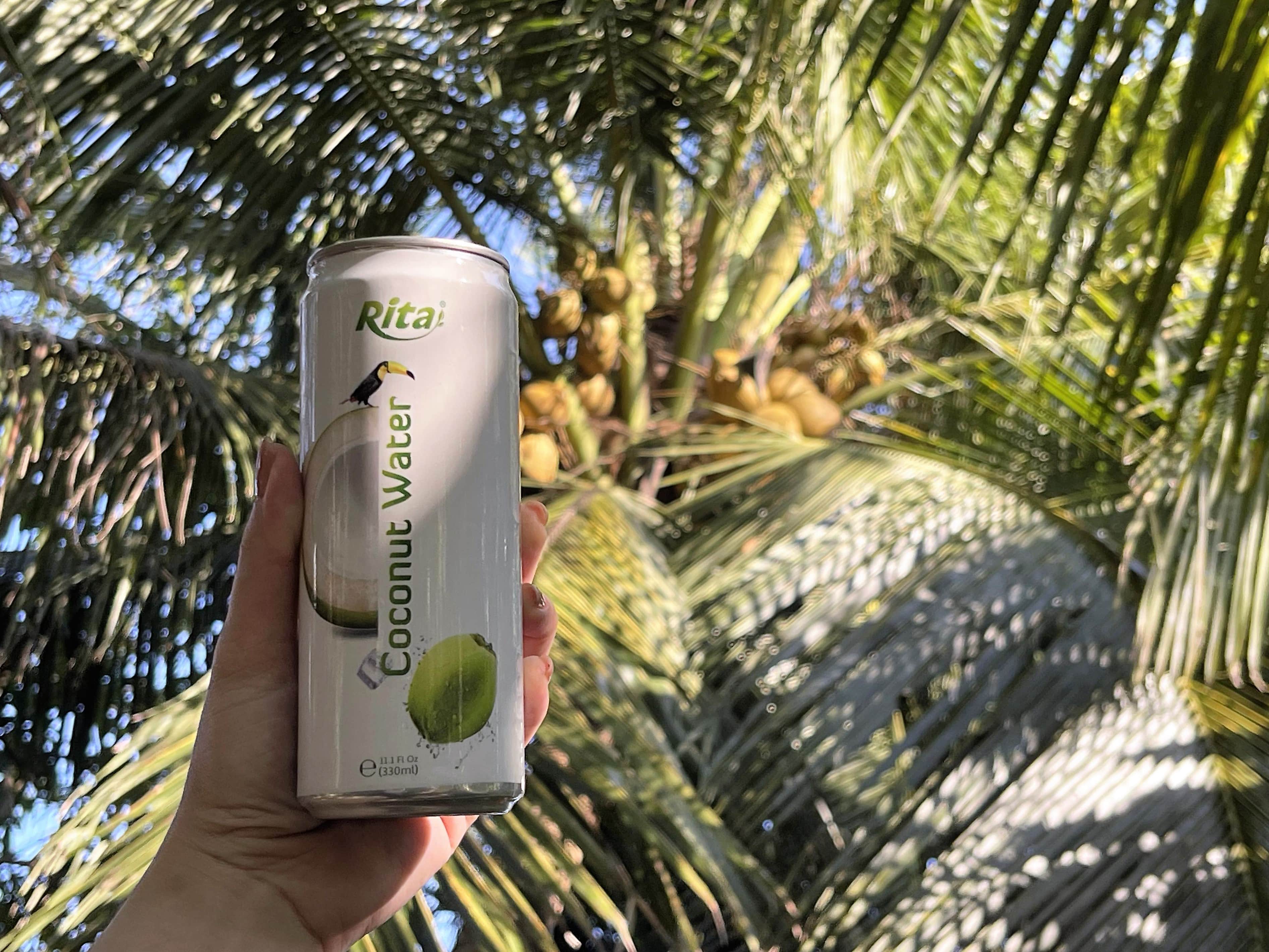 Rita sparkling coconut water 