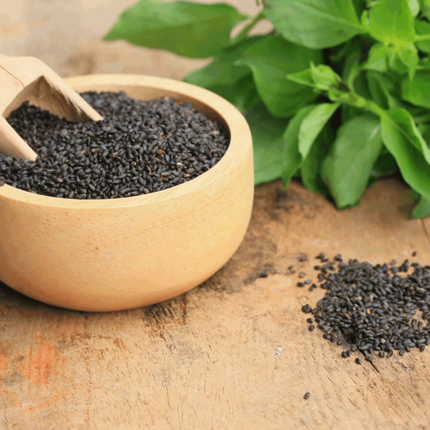 Basil seed 7