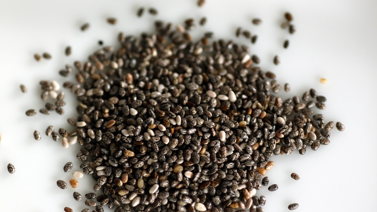 Chia seed 1