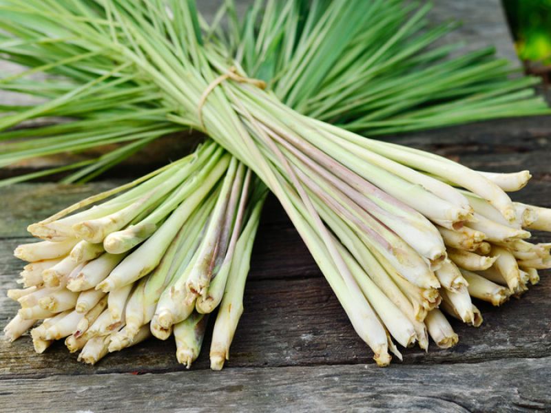 lemongrass