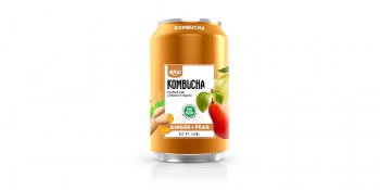 Kombucha-Ginger-330ml-Can-chuan